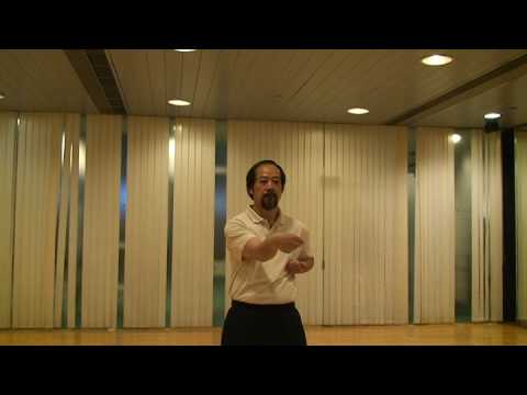 Ving Tsun - Siu Nim Tau - Wing Chun