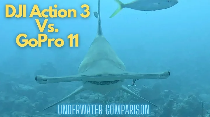 DJI Action 3 Vs. GoPro 11 | Underwater Video Compa...