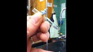 Single Displacement and Combustion Reaction Lab Part 1