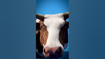 How To Fix A Bloated Cow 🐮