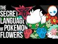 Pokemon's Flowers are Trying to Tell You Something... | Gnoggin