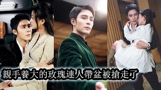 【完結】八歲那年她被撿回家後，被名義上的哥哥嬌養了10年，他以為他從此能徹底掌控她，將她變成掌中金絲雀，她轉身就被百年望族繼承人賀庭洲瘋狂追求，被極盡寵愛讓無數女人羨慕嫉妒！#熱播短劇#霸道總裁#甜寵