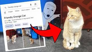 Going to Sydney's Strangest Landmarks