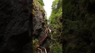 Alpine Granaries #aesthetic #sound #drone #dronevideo #shorts #europe #austria #klammsee #nature