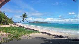 Caribbean Reality