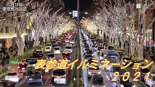 2年ぶり「光の世界」東京・表参道