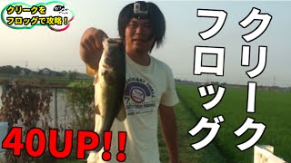 バス釣り　フロッグで40UP５連発inクリーク　１発目