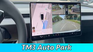 Tesla Model 3 2026 Auto Park Review (Any good?)