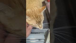 PXL 20250426 032041174 TS   Copy