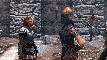 Windhelm Guard: You come talking to me wearing Imperial Armor?.. Skyrim Special Edition
