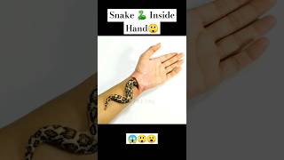 Snake 🐍 Inside Hand 😱😲😮 cool prank #shorts #funny #funnyvideo