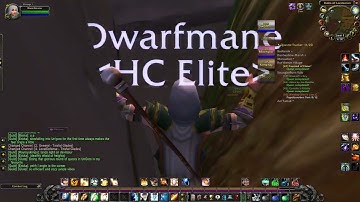 When you are pretty sure you gonna fall through the world - Wow classic hardcore