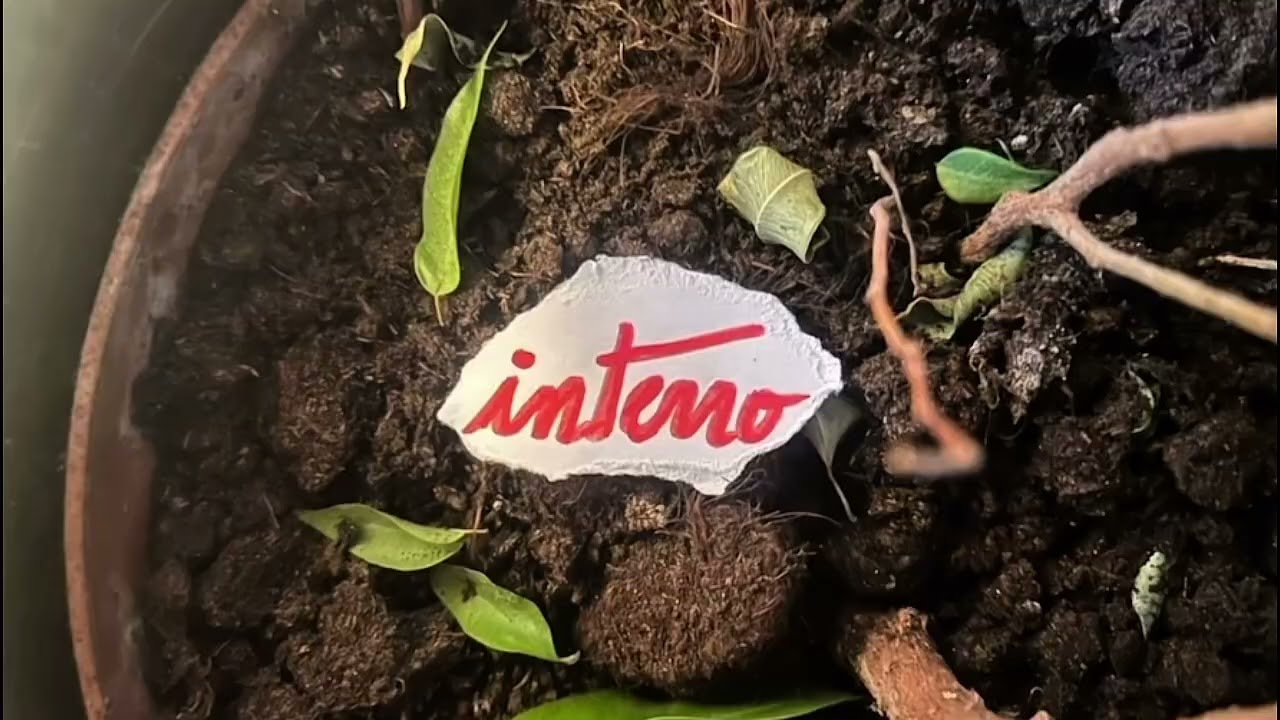 CLAP DE FIN - SHORT FILM