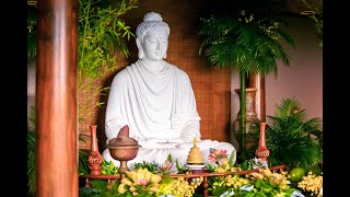 Lễ Phật Đản - Làng Tu NIKAYA Đắk Nông 2026