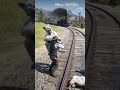 Deadly Mistake on Railway Track 😱 Lion Attack Turns Fatal#shorts #rdr2shorts