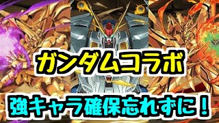 【ガンダムコラボまとめ】迷ってるなら取っちゃおう！ 交換＆購入で確保したいキャラが多すぎる！【パズドラ】