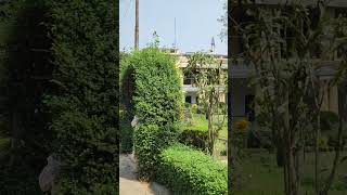 রবীন্দ্র কাচারি বাড়ি, শাহজাদপুর, সিরাজগঞ্জ। #shorts #rabindranath #shajadpur#sirajganj #views #tour