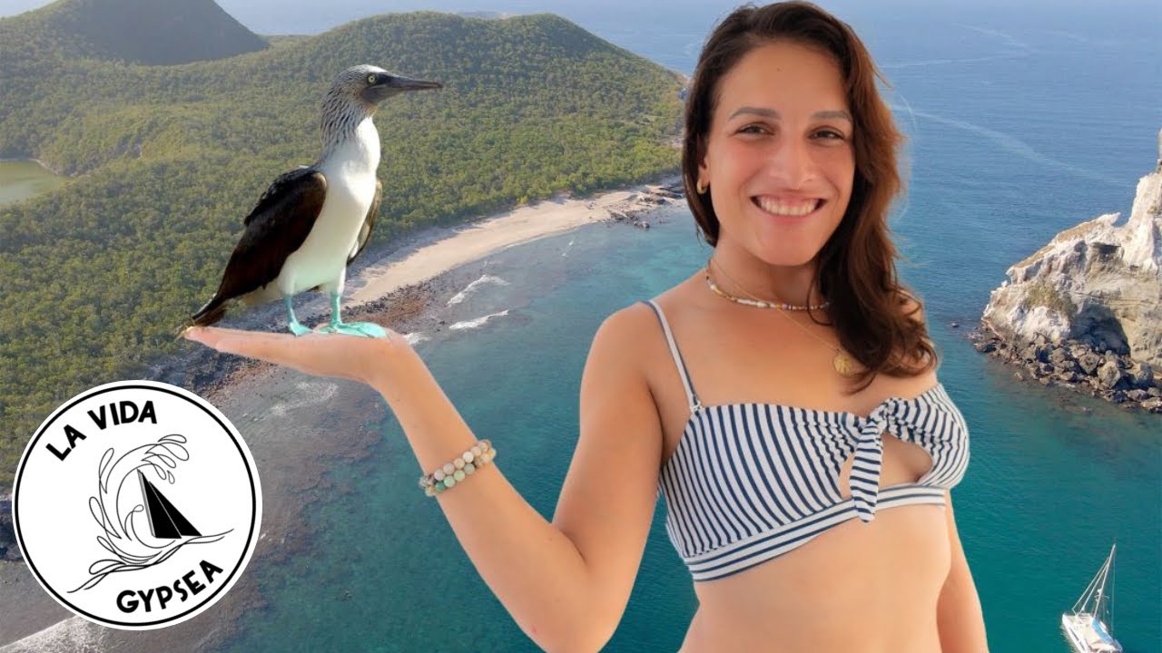 Have You Discovered the BOOBIES Paradise? - Galapagos of Mexico - Sailing La Vida Gypsea - EP: 68