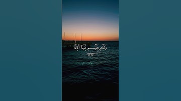 #القرآن_الكريم #تلاوة_خاشعة #اسلام_صبحي #اكسبلور #لايك #اكتب_شي_تؤجر_عليه #المصحف #yasseraldossary