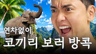 연차없이 코끼리 똥 맞는 태국 방콕 여행 2일차 I 곽범 I 연차없이 어떡행2 EP.8