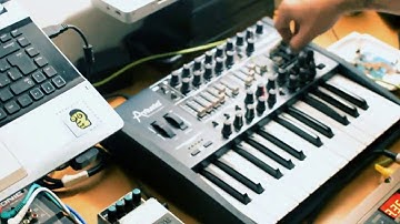 MELOCACTUS: Live Set