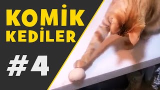 ✅Komik Kedi Videoları #4▶️