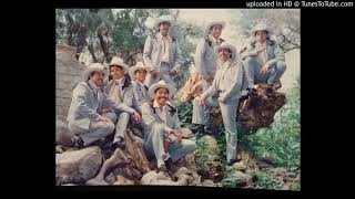 Banda Toros Bravos - Adolescente Y Bonita