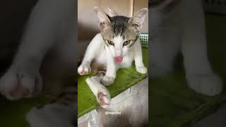 Sleep Sleep Sleep