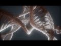 Loop Double Helical Structure of Dna Strand Close-up