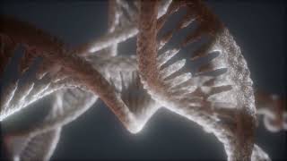 Loop Double Helical Structure of Dna Strand Close-up