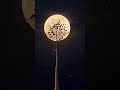 🌑 Crimson Petals &amp; Full Moon 🌙 Mystical Sleep Ambience
