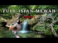 Masteran srdc full isian super mewah