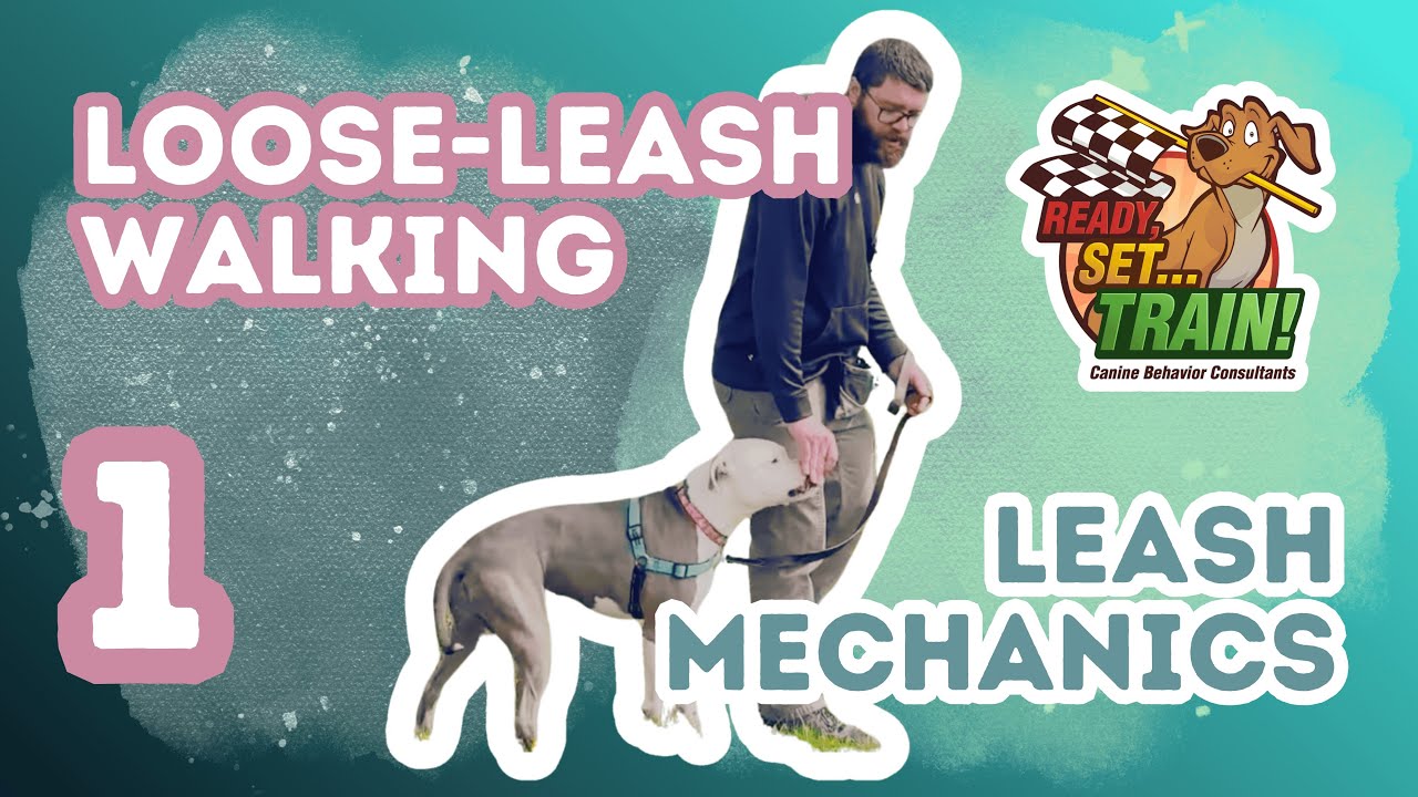 Loose-Leash Walking | Part One: Leash Mechanics | Ready, Set...Train!