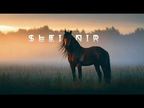 Sleipnir (Odin’s Eight-Legged Horse) | Old Norse Viking Music