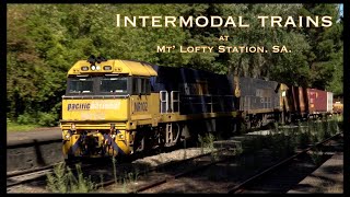 SCT & Pacific National trains at Mt Lofty. Feb 2021.