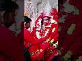 During puja at temple  tarapith live tarapith official