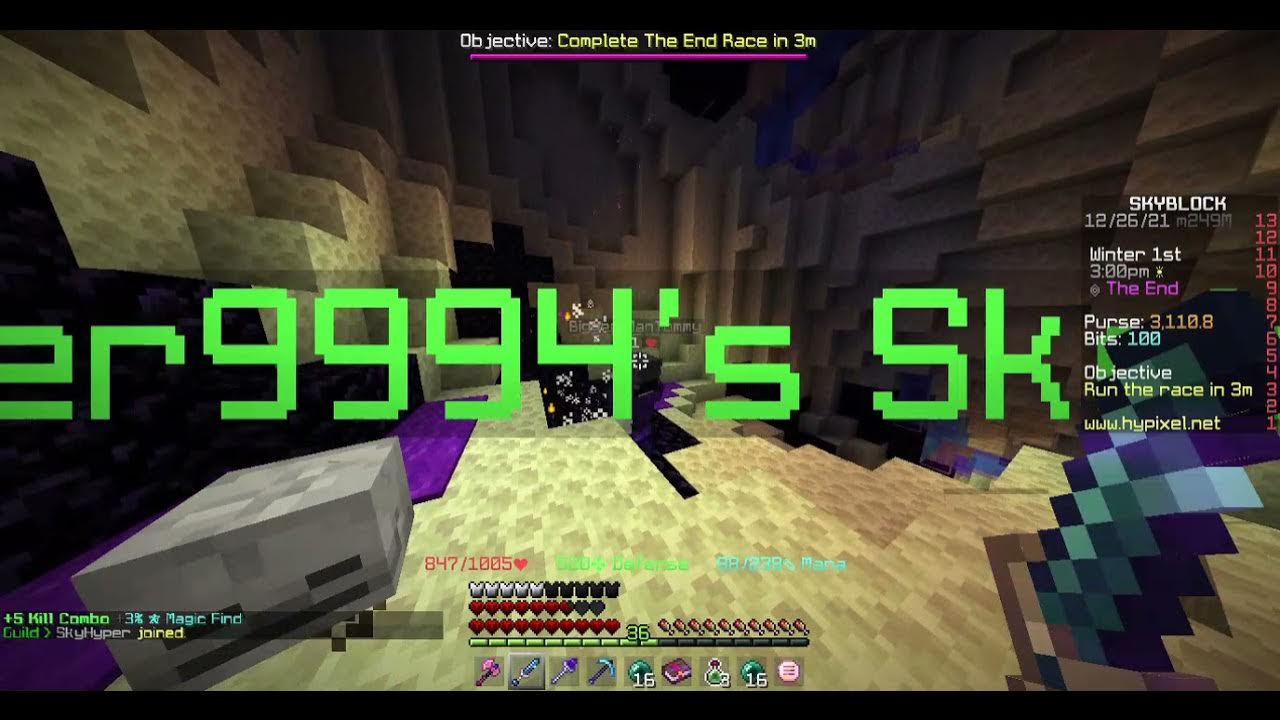 Hypixel skyblock NEW PETS YouTube