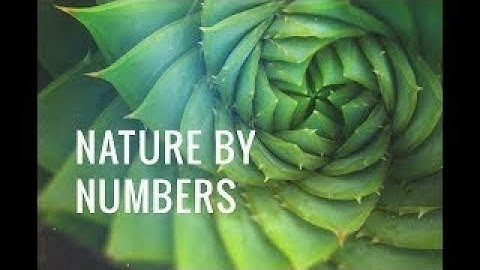 Mathematical Universe Hypothesis (2017 HD NOVA Docu) Nature by Numbers.