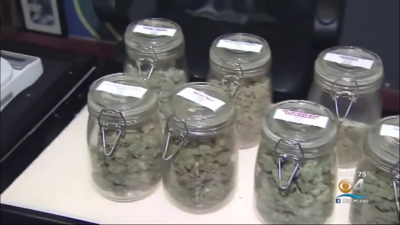 A Big Victory For Medical Marijuana Users Who Live In The City Of Miami.