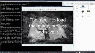 Runtime for dynamically loading and linking of WebAssembly modules