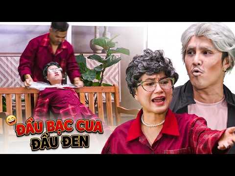 HÀI ĐẦU BẠC CUA ĐẦU ĐEN | Hài 7 Nụ Cười Xuân 2026 | Bảy Nụ Cười Xuân 2026 | 7 Nụ Chào Xuân | HTV