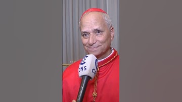 pope leo xiv on why the church must welcome all #popeleoxiv #faith