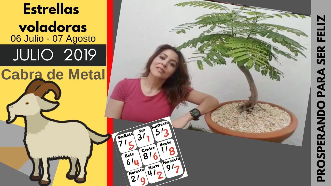 Estrellas Voladoras JULIO 2019, OVEJA DE METAL