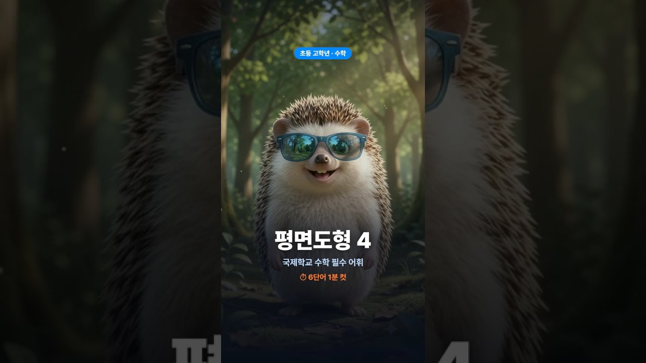 고도치와 함께 배워보는 국제학교 어휘 - 초등고학년 수학 평면도형 4편