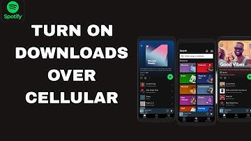 How To Turn On Downloads Over Cellular On Spotify App