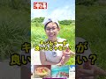 ことわざを沖縄方言にしてみた #shorts