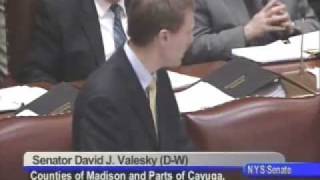 NYS Senate Session - 3/10/10