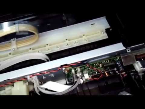EPSON L350 - L355 - L200 - SERIES XP  Solución atasco de papel !!!