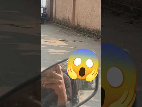 Video #viral