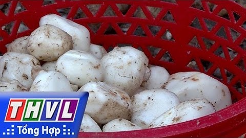 THVL l Nhịp sống đồng bằng: Nhộn nhịp mùa huyền Bảy Núi